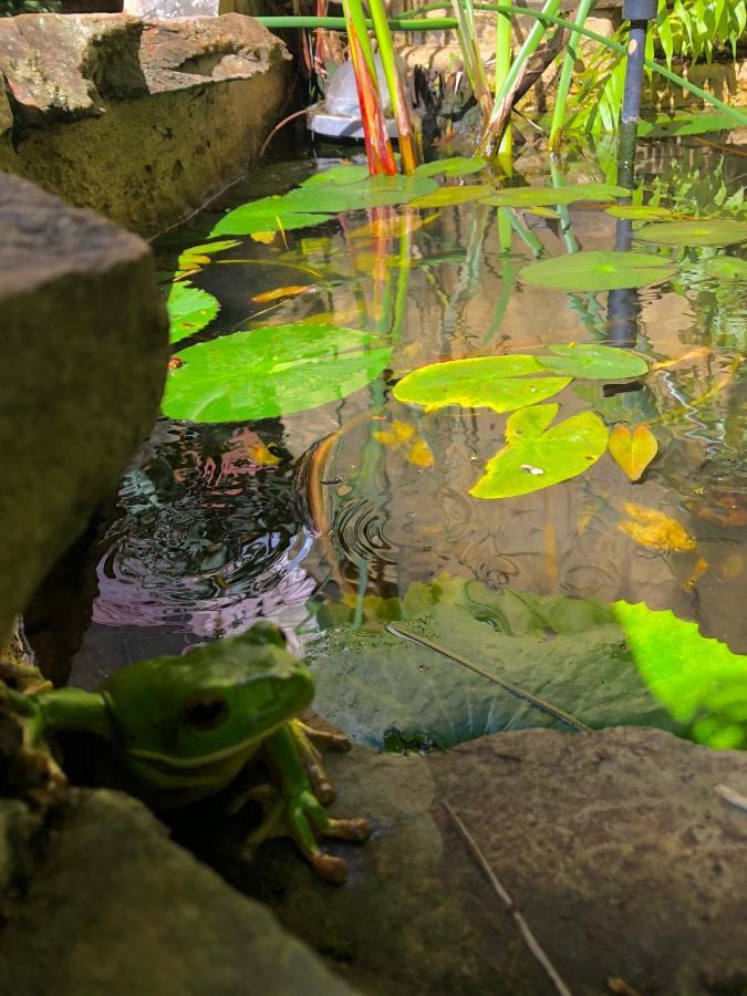 Whitsundays Bnb Retreat แอร์ลีบีช ภายนอก รูปภาพ